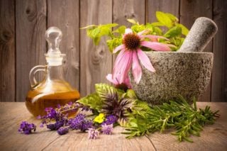 medicinal herbs