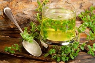 bacopa plant and glass of bacopa tea