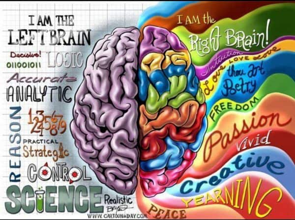 graphic illustrating the supposed differences between the left and right brain hemispheres