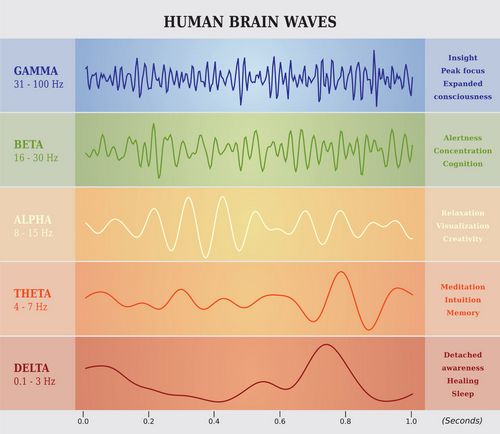 chart showing human brain waves and corresponding cognitive characteristics