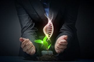 photo of hands embracing a plant and a dna strand