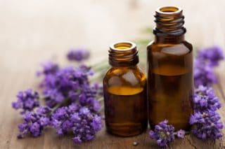 lavender and essential oils