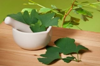 ginkgo biloba leaves with mortar and pestle