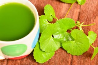 gotu kola plant and tea