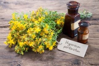 photo of st john's wort flowers and supplements
