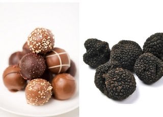 photos of chocolate truffles compared to black truffle mushrooms