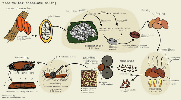 diagram of chocolate making process