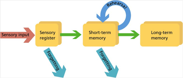 chart depicting how memories are stored