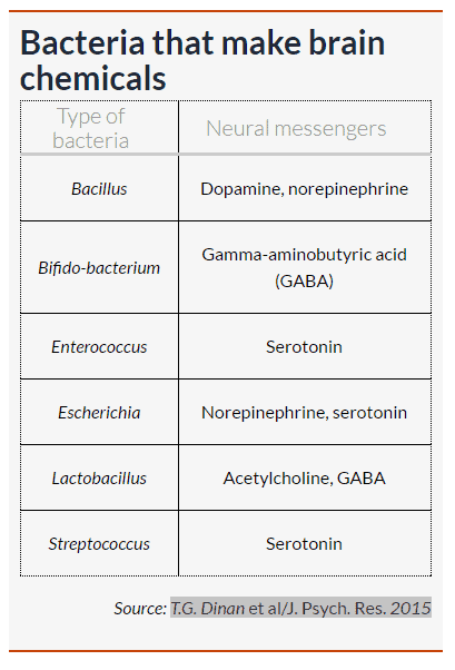 bacteria neurotransmitter synthesis chart